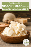 Organic Whipped Shea Body Butter - Waterless