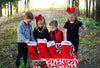 Personalized Christmas Stockings